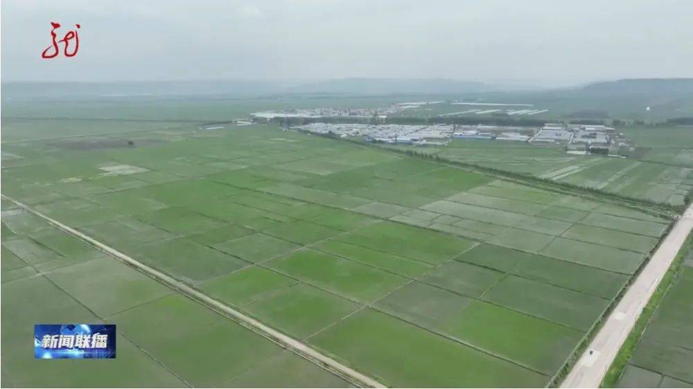 皇冠信用网如何注册
_【龙视新闻联播】黑土地上的“私人定制”